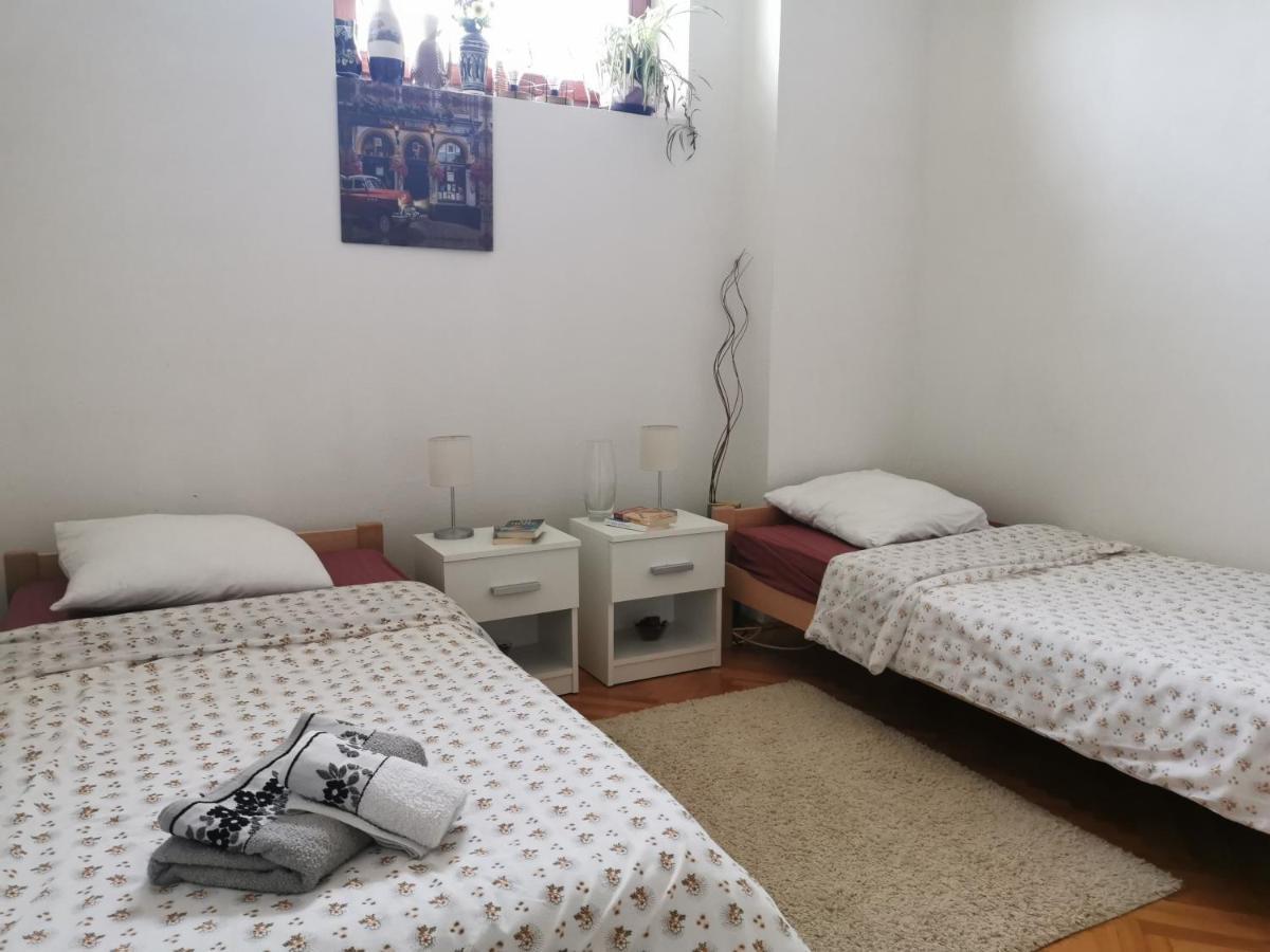 Apartmani La Grande Motte Vrdnik Exterior photo